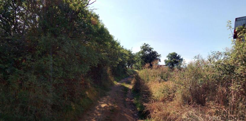 Prodej louky, Traplice, 4459 m2