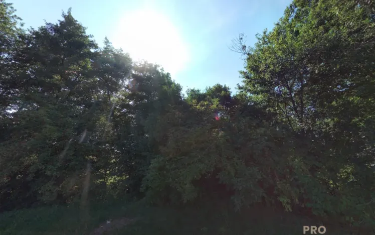 Prodej louky, Traplice, 4459 m2