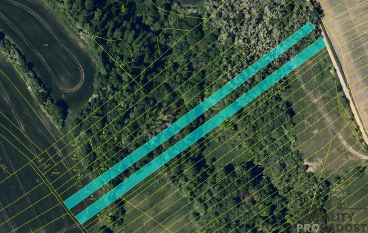 Prodej louky, Traplice, 4459 m2