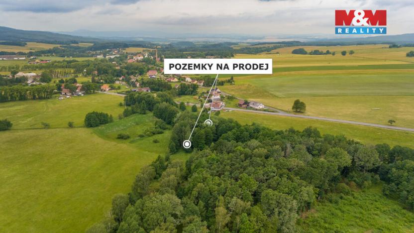 Prodej louky, Dětřichov, 4178 m2