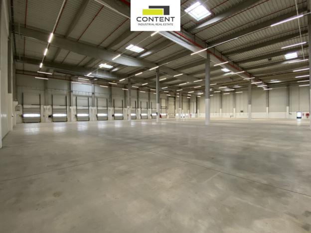 Pronájem výrobních prostor, Plzeň - Černice, K Cihelnám, 4840 m2