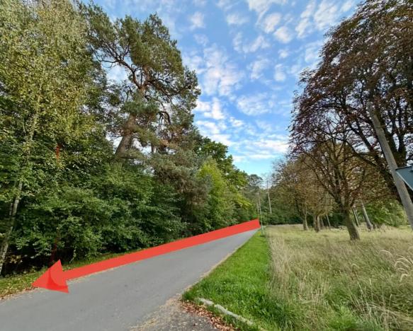 Prodej pozemku pro bydlení, Luštěnice, 9368 m2