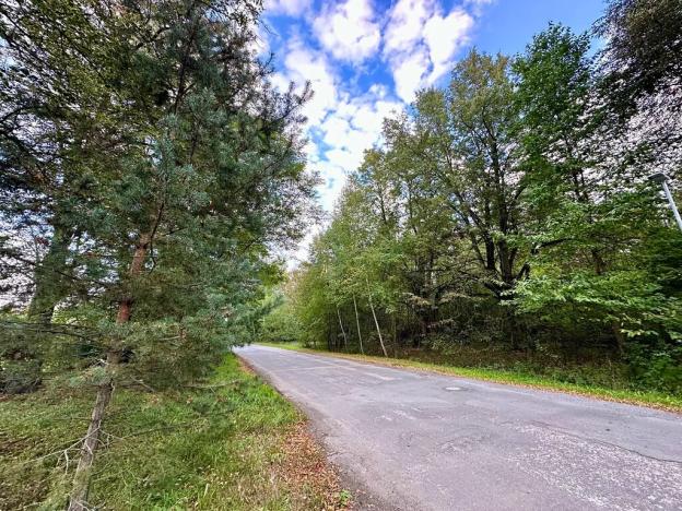 Prodej pozemku pro bydlení, Luštěnice, 9368 m2