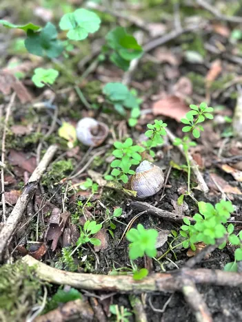 Prodej pozemku pro bydlení, Luštěnice, 9368 m2