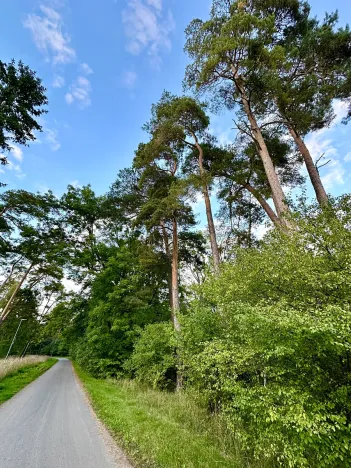 Prodej pozemku pro bydlení, Luštěnice, 9368 m2