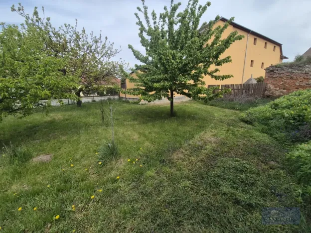 Prodej rodinného domu, Horní Věstonice, Lípová, 135 m2