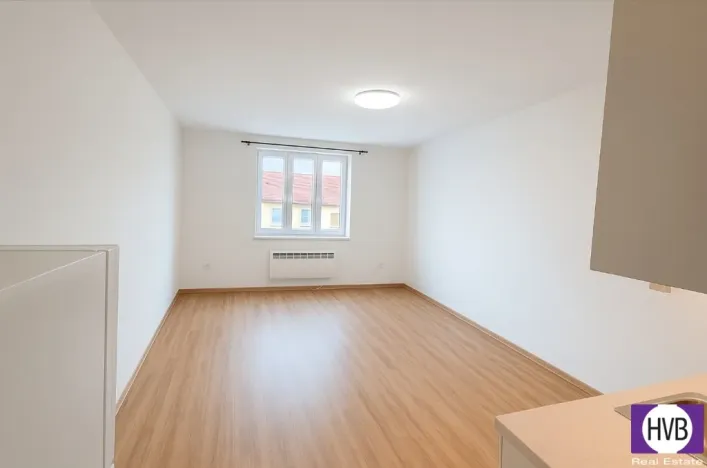 Pronájem bytu 1+kk, Praha, Holandská, 30 m2