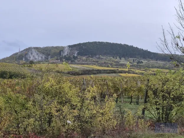 Prodej obchodního prostoru, Horní Věstonice, Lípová, 135 m2