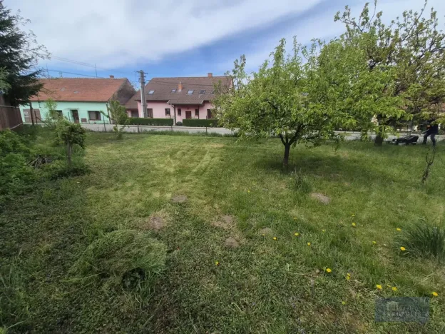 Prodej obchodního prostoru, Horní Věstonice, Lípová, 135 m2