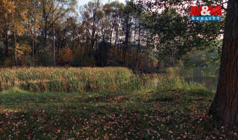 Prodej louky, Petrovice - Obděnice, 5258 m2