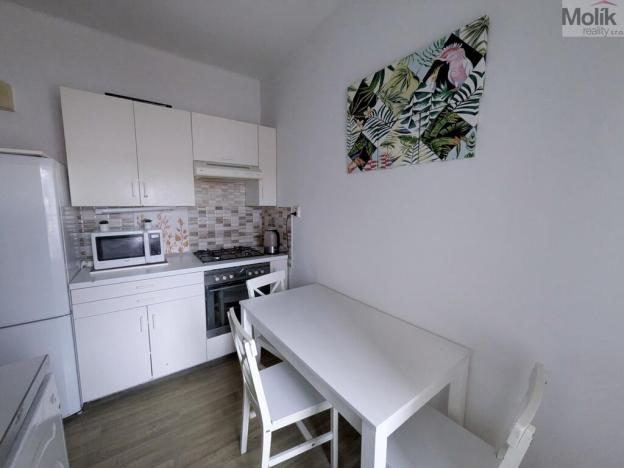 Prodej bytu 2+1, Teplice - Trnovany, Masarykova třída, 49 m2