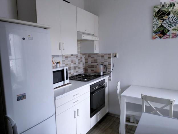 Prodej bytu 2+1, Teplice - Trnovany, Masarykova třída, 49 m2