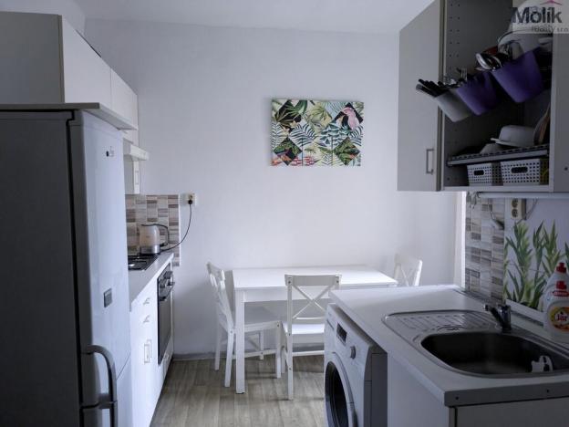 Prodej bytu 2+1, Teplice - Trnovany, Masarykova třída, 49 m2