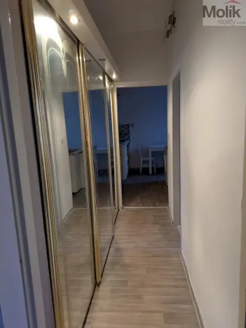 Prodej bytu 2+1, Teplice - Trnovany, Masarykova třída, 49 m2