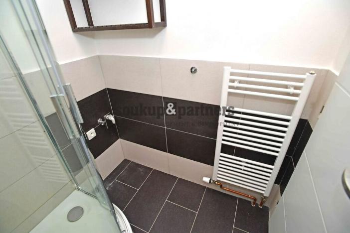 Pronájem bytu 2+1, Praha - Vršovice, V olšinách, 52 m2