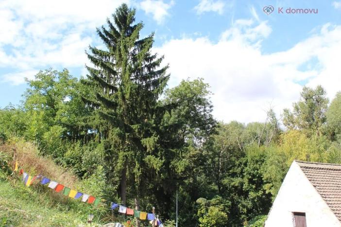 Prodej rodinného domu, Černčice, Žižkova, 65 m2