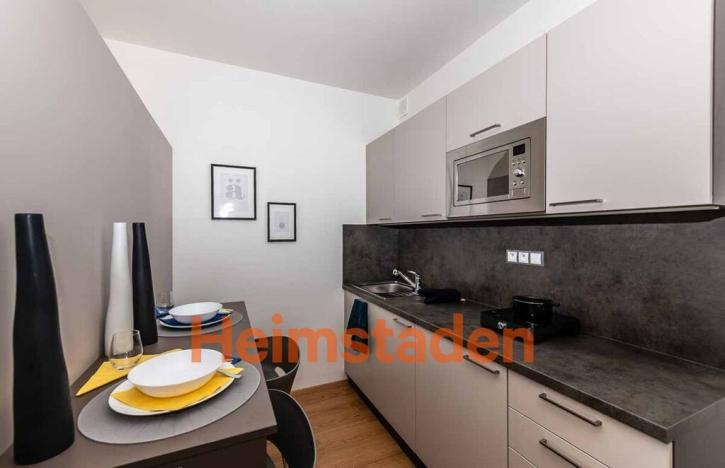 Pronájem bytu 1+kk, Plzeň - Jižní Předměstí, Magisterská, 28 m2