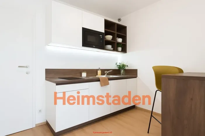 Pronájem bytu 1+kk, Plzeň - Jižní Předměstí, Magisterská, 27 m2