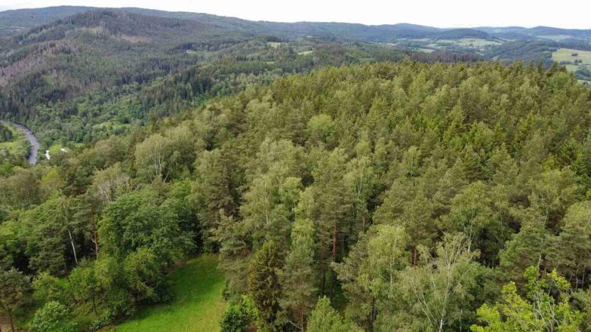 Prodej pozemku, Rejštejn, 1798 m2