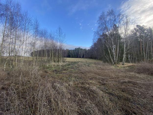 Prodej pozemku, Kaplice - Pořešín, 11526 m2