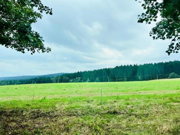 Prodej louky, Herálec, 35197 m2