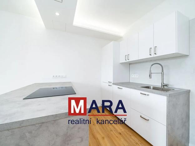 Pronájem bytu 1+kk, Olomouc, Aloise Rašína, 31 m2