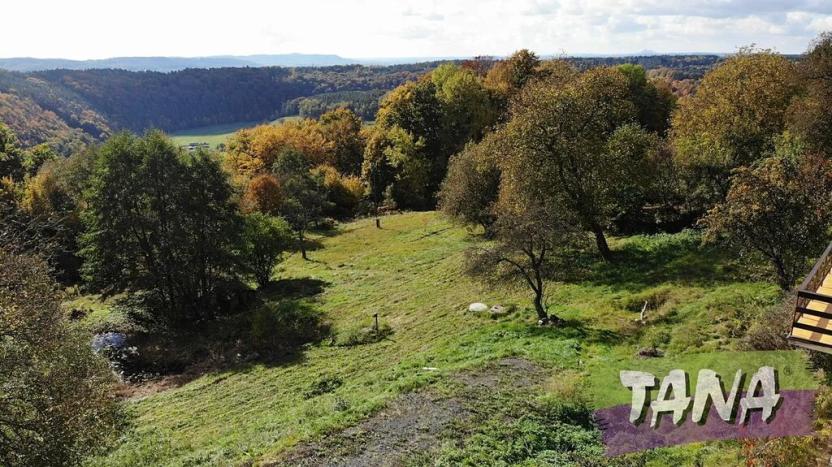 Prodej pozemku pro bydlení, Koberovy, 9985 m2