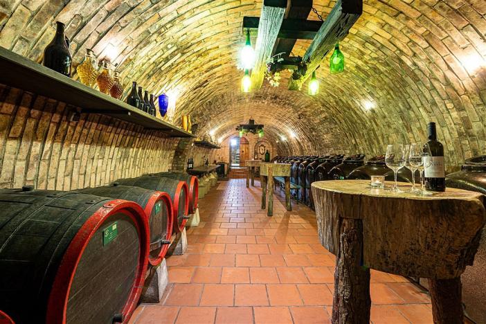 Prodej komerční, Velké Bílovice, 508 m2