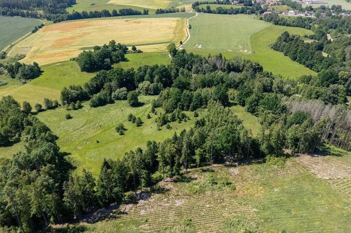 Prodej pozemku pro bydlení, Choustník, 114846 m2