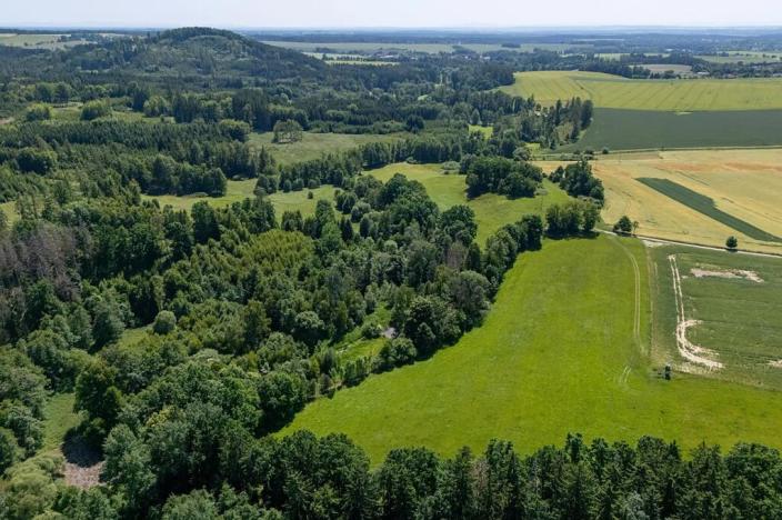 Prodej pozemku pro bydlení, Choustník, 114846 m2