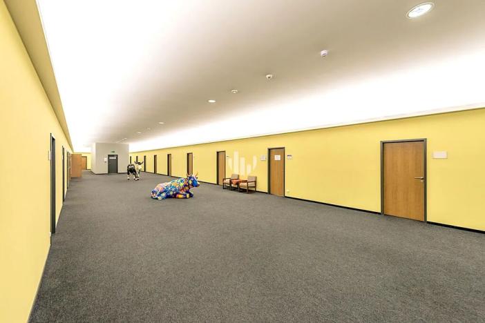 Pronájem kanceláře, Praha - Ruzyně, Žukovského, 1295 m2