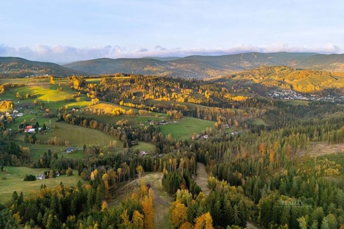 Prodej chaty, Vysoké nad Jizerou, Staroveská, 194 m2