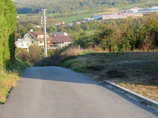 Dražba louky, Březnice, 6503 m2