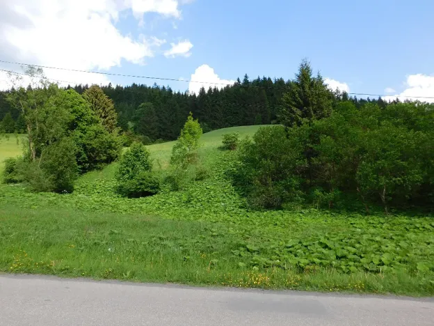 Dražba louky, Velké Karlovice, 14772 m2