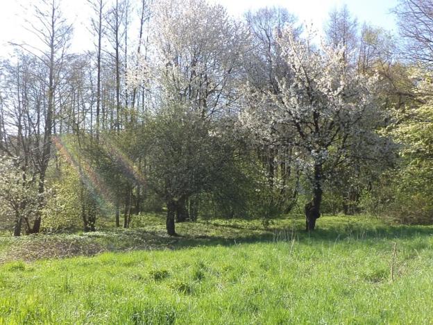 Dražba pozemku pro bydlení, Kamenná, 2542 m2