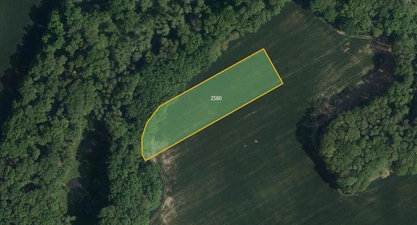 Prodej pole, Ronov nad Doubravou, 16028 m2