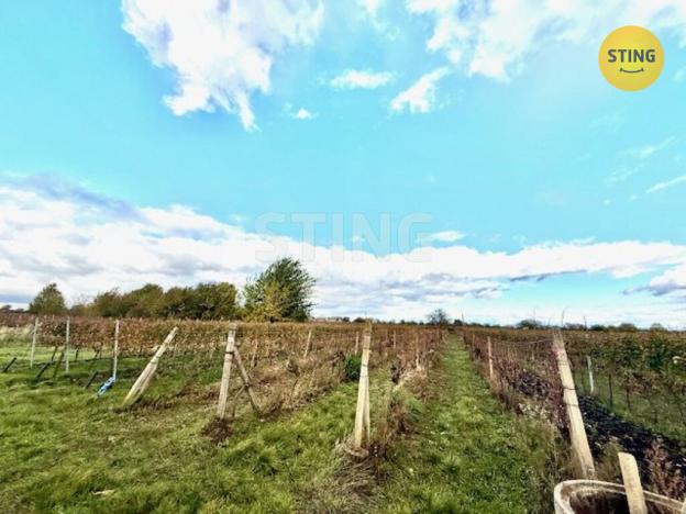 Prodej sadu/vinice, Prušánky, 700 m2