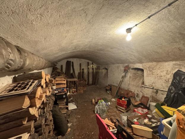 Prodej rodinného domu, Pavlíkov - Ryšín, 436 m2