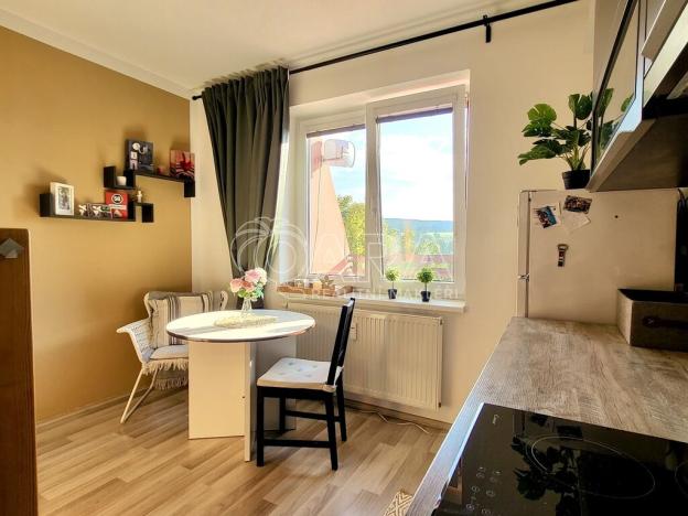 Prodej bytu 1+1, Starý Plzenec, Herejkova, 38 m2