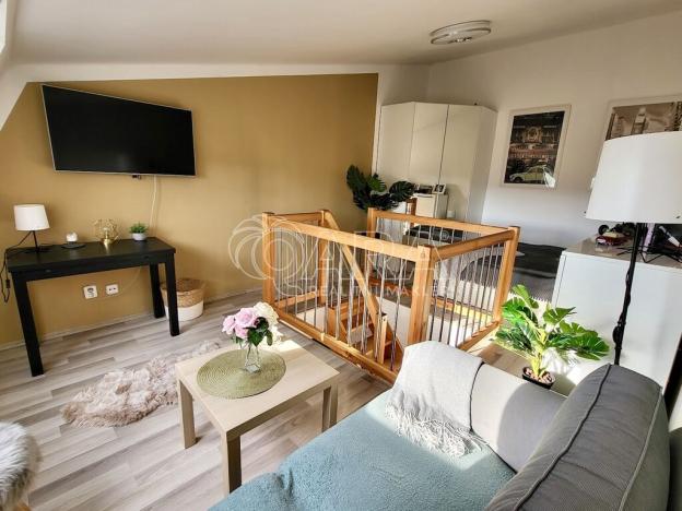 Prodej bytu 1+1, Starý Plzenec, Herejkova, 38 m2