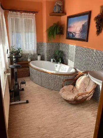 Pronájem bytu 1+kk, Prostějov, Vrahovická, 60 m2