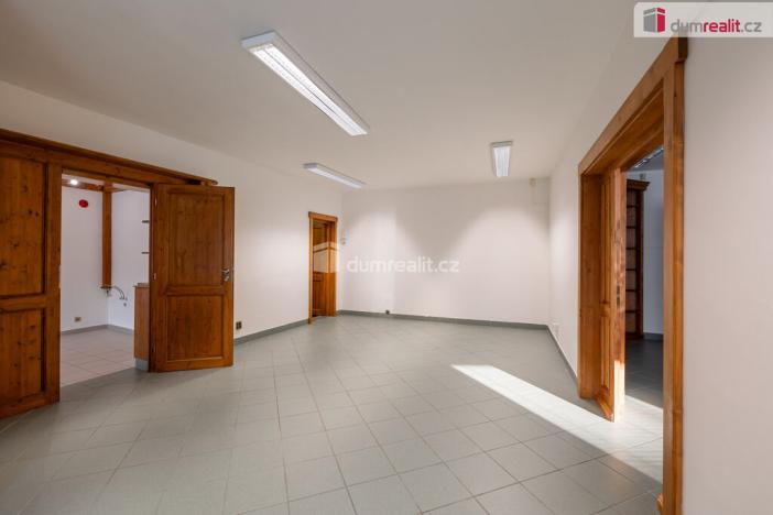 Prodej obchodního prostoru, Mladá Boleslav - Mladá Boleslav III, Viničná, 107 m2