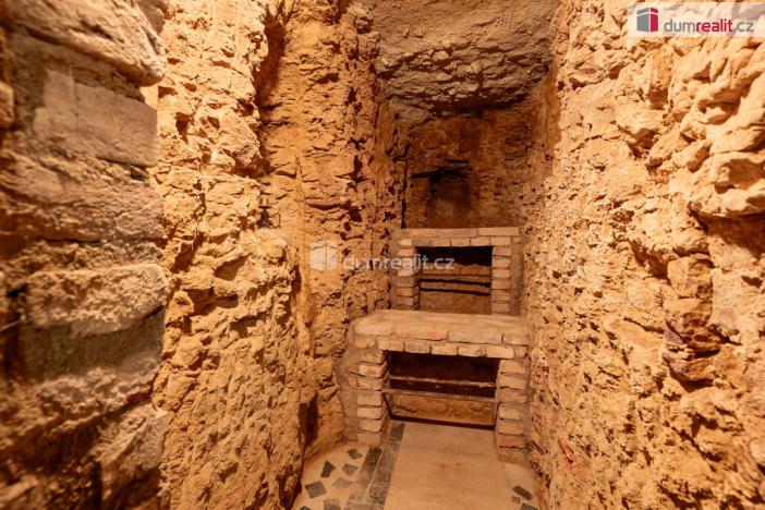 Prodej obchodního prostoru, Mladá Boleslav - Mladá Boleslav III, Viničná, 107 m2