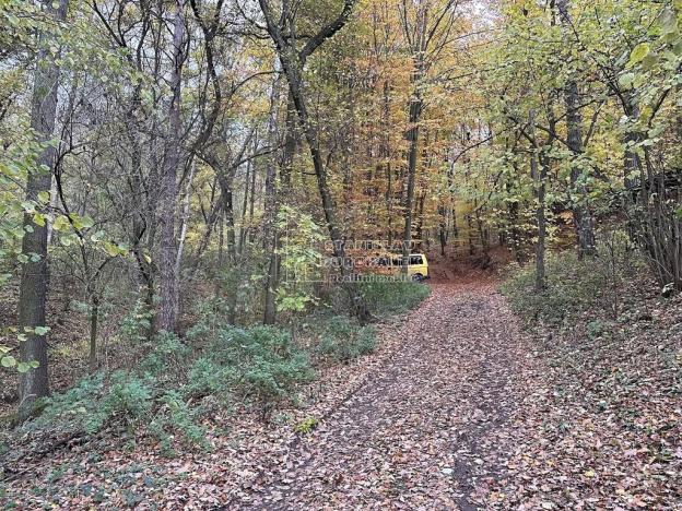 Prodej chaty, Loděnice, 54 m2