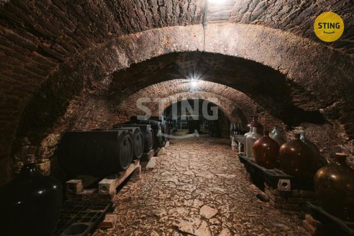 Prodej historického objektu, Mikulov, Na Jámě, 361 m2