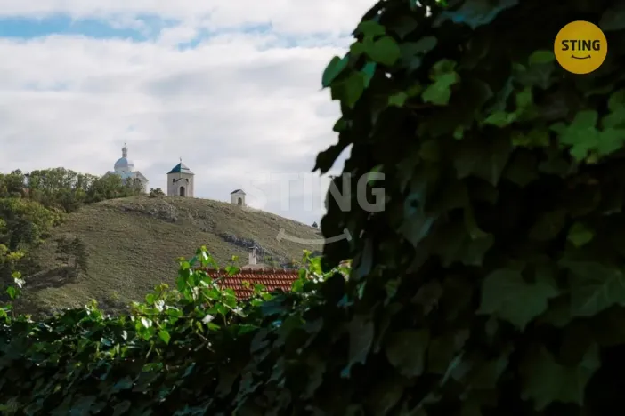 Prodej historického objektu, Mikulov, Na Jámě, 361 m2