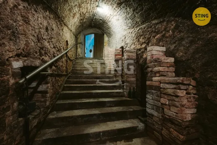 Prodej historického objektu, Mikulov, Na Jámě, 361 m2