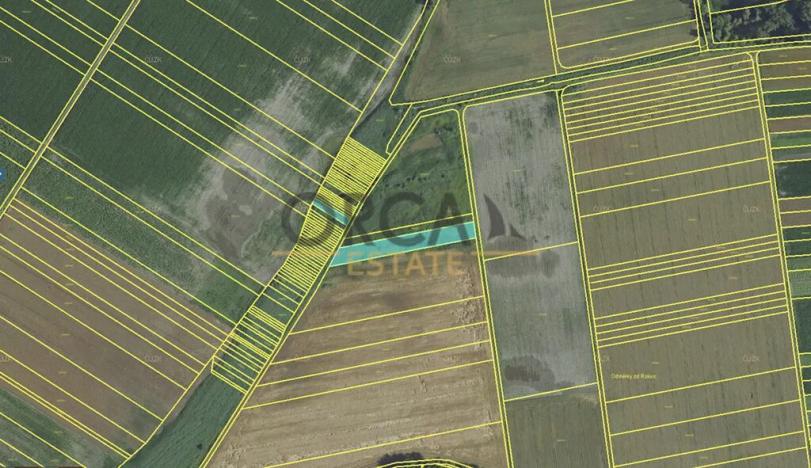 Prodej pole, Podivín, 2403 m2