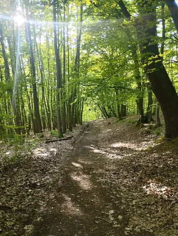 Prodej chaty, Mirošovice, Pod Jiřím, 60 m2