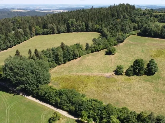 Dražba pole, Strašín, 33898 m2